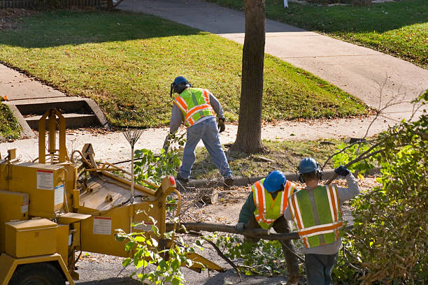 Lawn Pest Prevention in Oaklyn, NJ